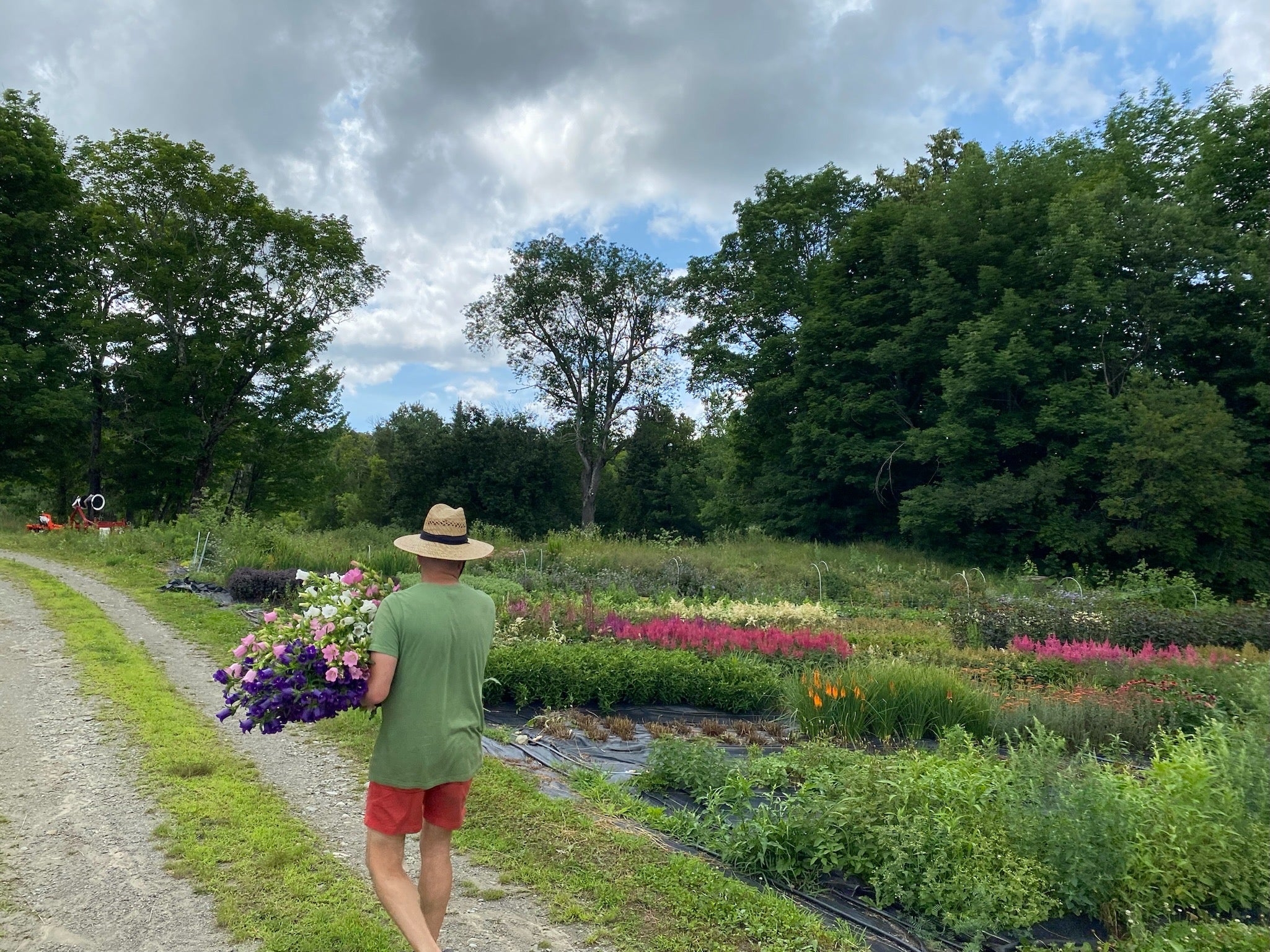 WATCH Post Harvest Science and Secrets Farmer Bailey Inc.