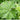 Watch the Video: Late Spring Planting