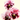 Introducing Pansy Flamenco