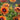 The Hue & You: Color Variations in Cut Flowers