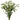 Hellebore Magnificent Bells