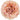 Standard Carnation Creola