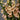 Digitalis Dalmatian