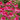 Echinacea ‘Gum Drop’ (36 cell half tray)