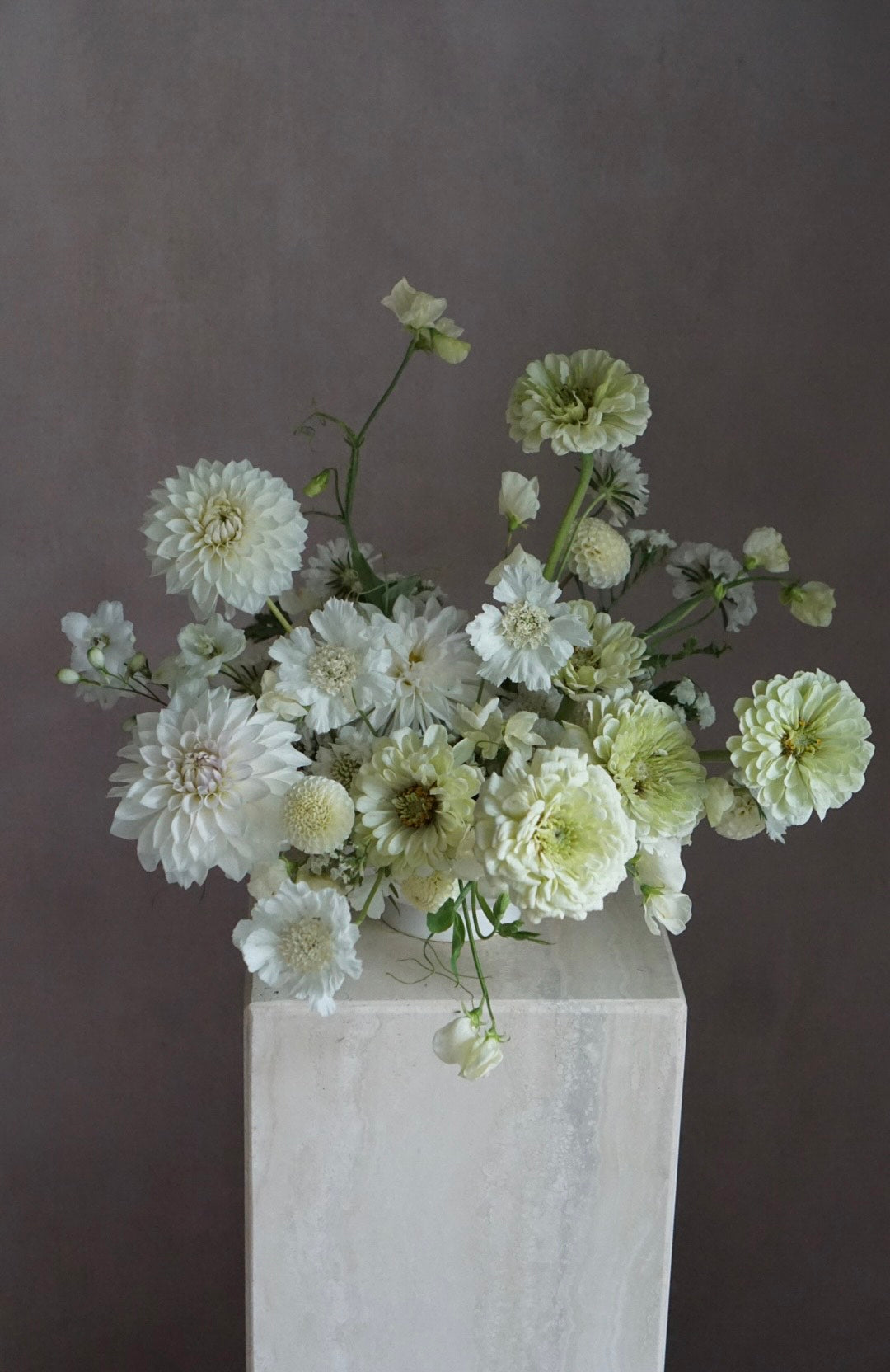 WATCH: How to Fall Plant for Spring Blooms – Farmer Bailey Inc.