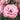 Lisianthus Corelli