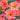 Geum (32)