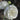 Lisianthus Voyage