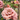 Lisianthus Little Summer, Espirit, and Sabrina