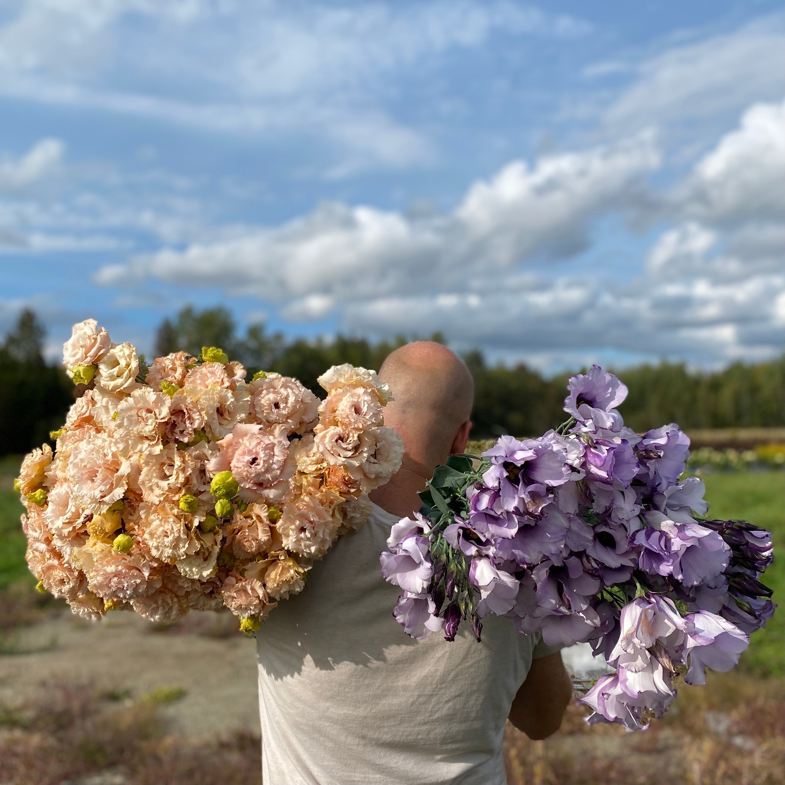 Farmer Bailey Farmer Bailey Inc.