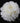 Ivory Dutch peony (Paeonia lactiflora) bloom with layered white petals on bare root plant. - Peony Ivory Victory (3/5 eye, 50 roots) - Farmer Bailey Inc.