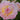 Peony La Donna (3/5 eye, 50 roots)
