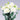Lisianthus Excalibur