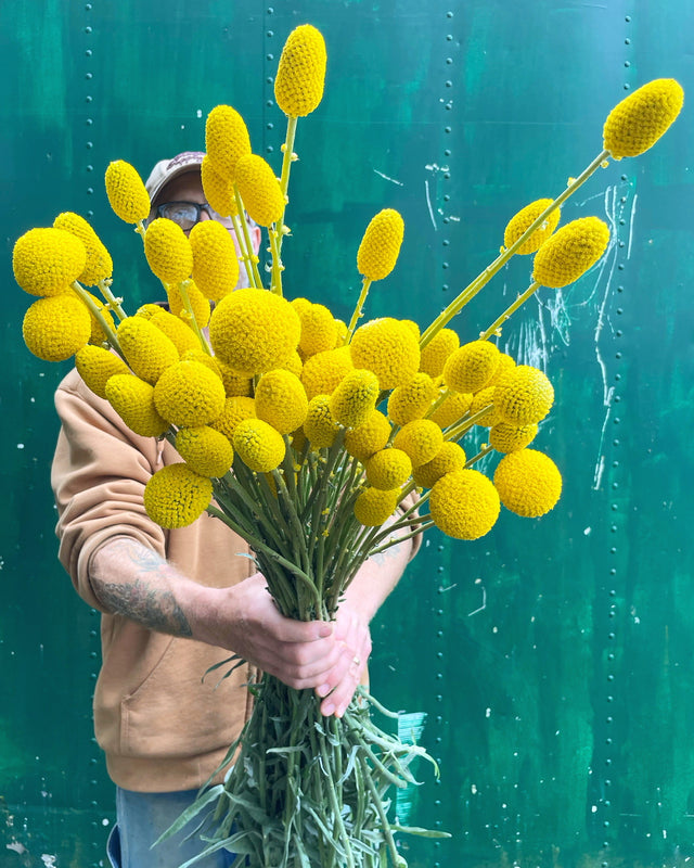 Growing Guides Farmer Bailey Inc.