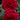 Peony Old Faithful (3/5 eye, 50 roots)