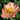 Peony Coral Beach (3/5 eye, 40 roots)
