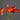 Poppy Champagne Bubbles