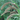Setaria Hylander