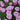For the Love of Purple