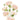 Spray Carnation