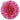 Standard Carnation