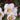 Helleborus HGC® Winter Ballet Collection  (18)