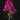 Phlox Magical Series (NEW!)