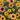 Rudbeckia hirta