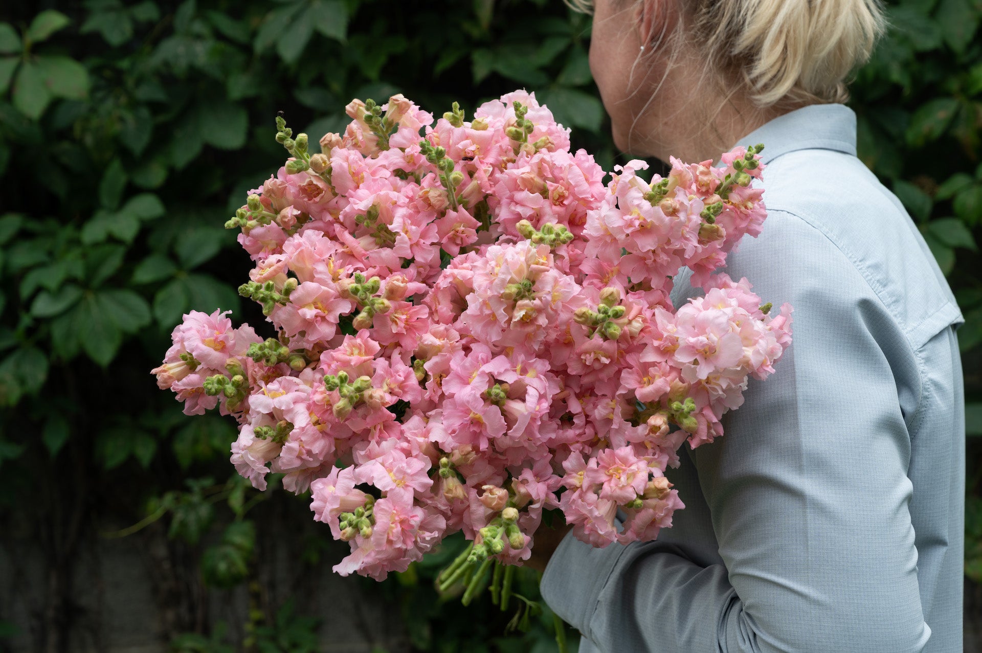 Plug Connections Homepage Farmer Bailey Inc.