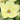 Cosmos bipinnatus