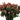 Hypericum