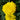Marigold (210 cell)