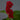 Celosia Neo