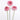 Scabiosa Scoop™ Series