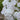 Phlox (32)