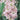 Stock Column