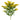Solidago